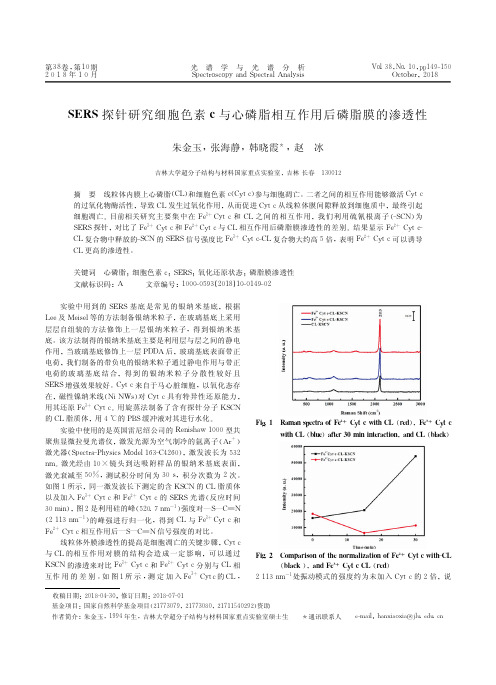 SERS探针研究细胞色素c与心磷脂相互作用后磷脂膜的渗透性