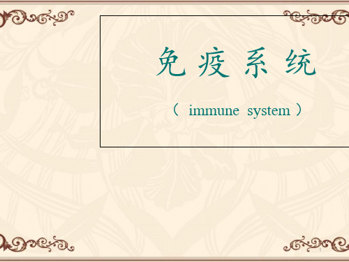 免疫系统  ppt课件