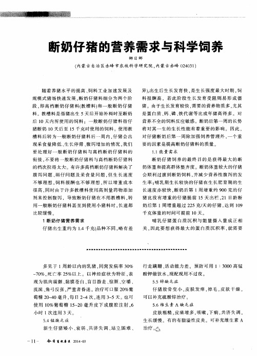 断奶仔猪的营养需求与科学饲养