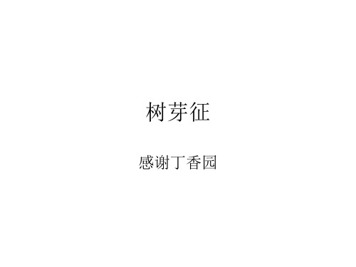 树芽征