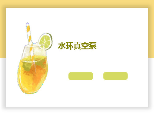 水环真空泵PPT文档共20页