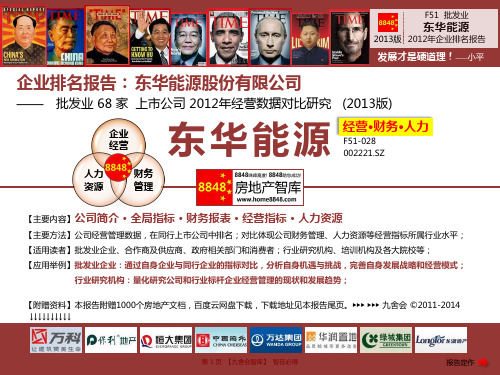 东华能源年报2013公司战略及薪酬研究(批发业销售净利率)东华能源股份有限公司_九舍会智库