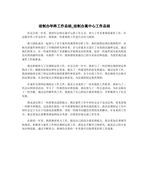 法制办年终工作总结_法制办案中心工作总结