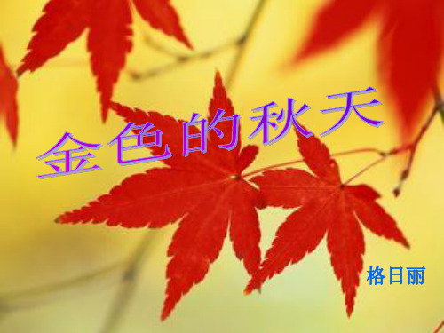 综合实践秋天的树叶.PPT课件
