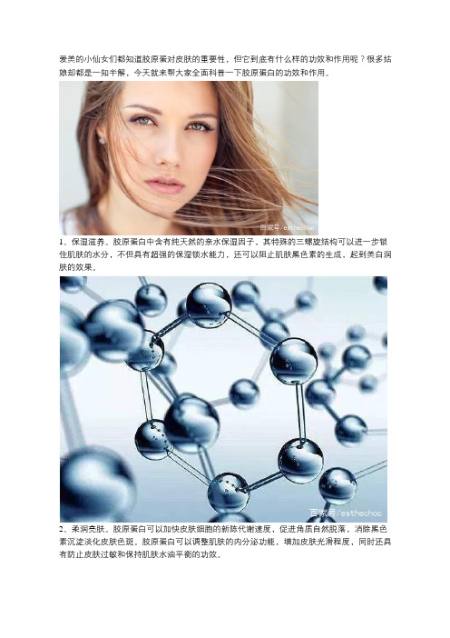 只这一篇,全面了解胶原蛋白的功效及作用!