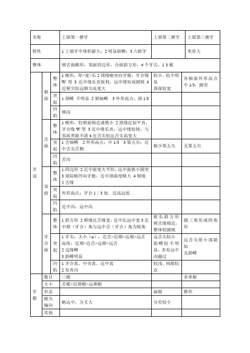 上颌磨牙