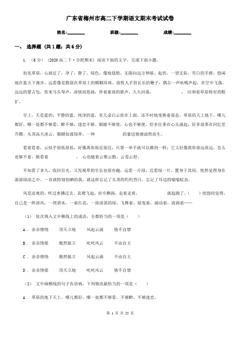 广东省梅州市高二下学期语文期末考试试卷