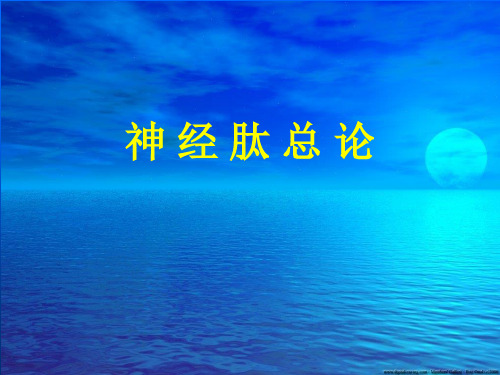 神经肽