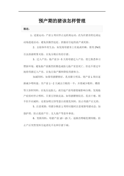 预产期的猪该怎样管理