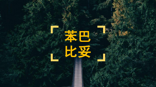 苯巴比妥 介绍 ppt课件