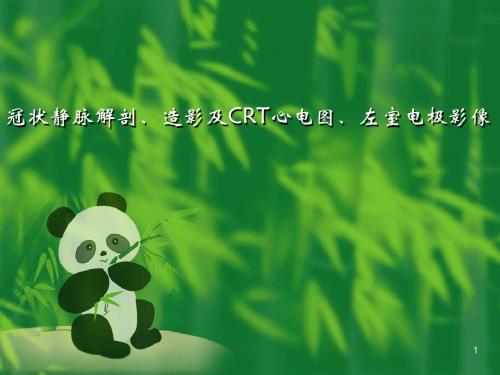 冠状静脉解剖、造影及CRT心电图、左室电极影像PPT医学课件