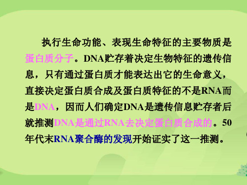 第六讲RNA的生物合成与转录后加工