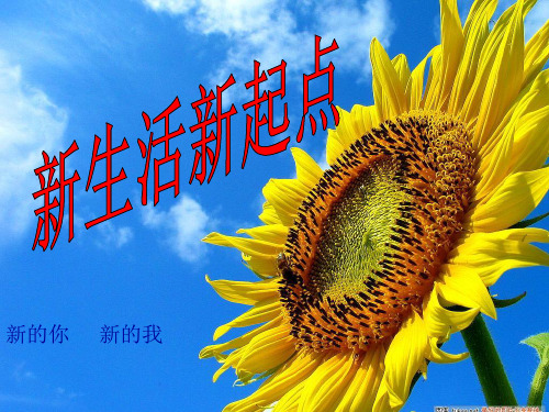 新生活,新起点ppt优秀课件1 鲁教版
