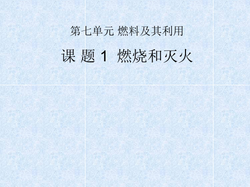 燃烧和灭火(说课)PPT课件