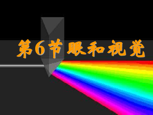 1[1].6眼和视觉(第一课时)生物课件PPT
