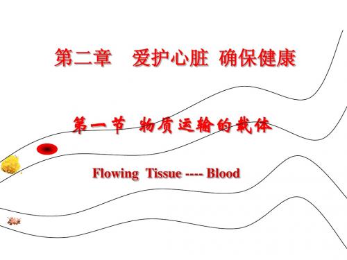物质运输的载体
