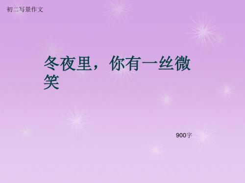 初二写景作文《冬夜里,你有一丝微笑》900字(总12页PPT)