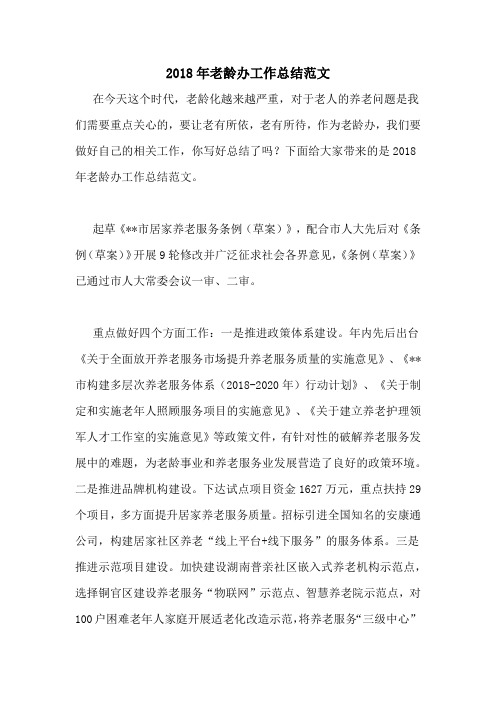 2018年老龄办工作总结范文
