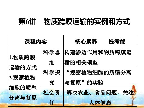 2020版新高考生物(鲁京津琼)复习课件：第二单元 细胞的基本结构与物质运输 第6讲