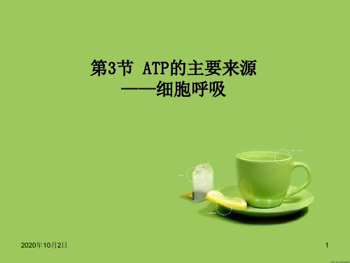 5.3ATP的主要来源——细胞呼吸PPT课件