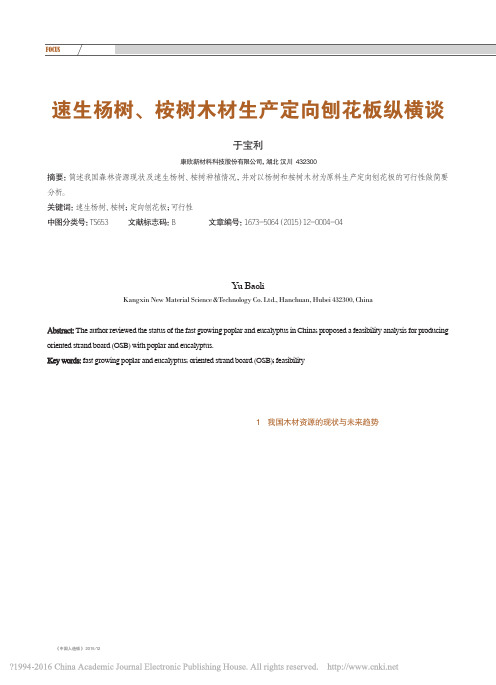 速生杨树桉树木材生产OSB