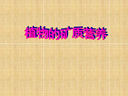 高中生物植物的矿质营养1名师精编课件人教版必修一