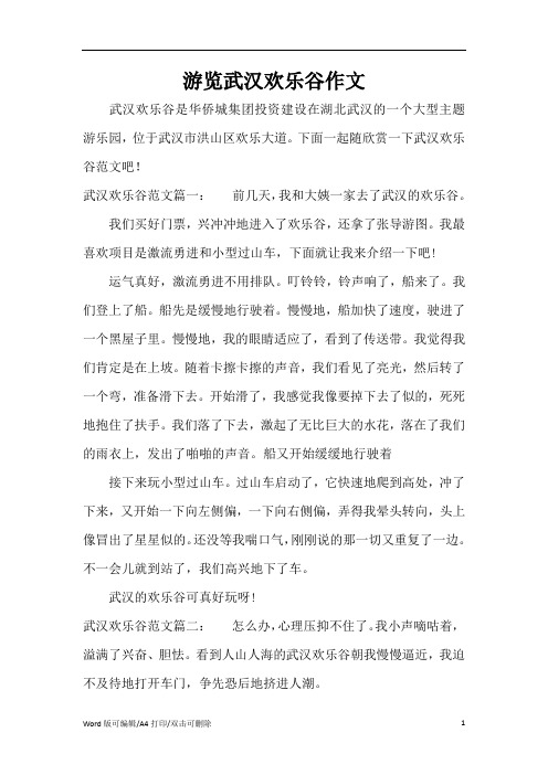 游览武汉欢乐谷作文(精编版)