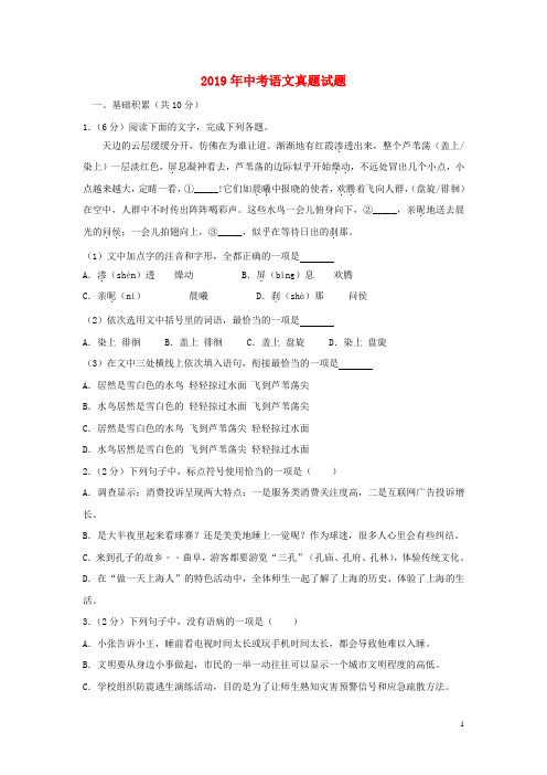 2019年中考语文真题试题(含解析) 人教版