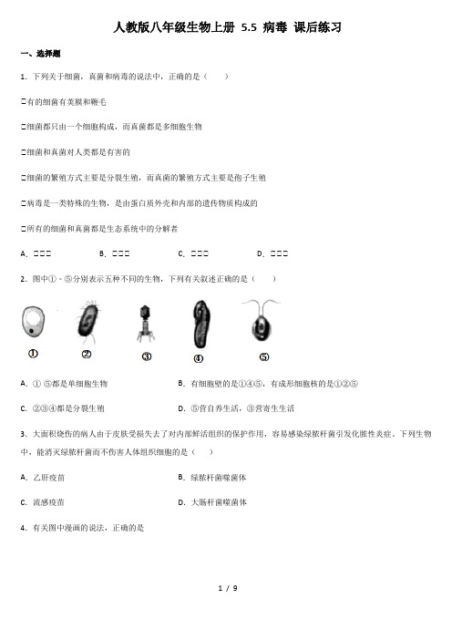 人教版八年级生物上册 5.5 病毒 课后练习