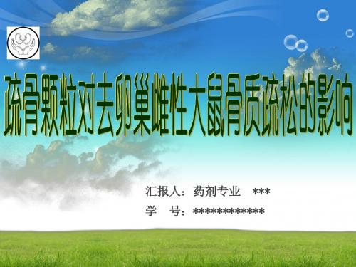 骨疏颗粒对去卵巢雌性大鼠骨质疏松的影响