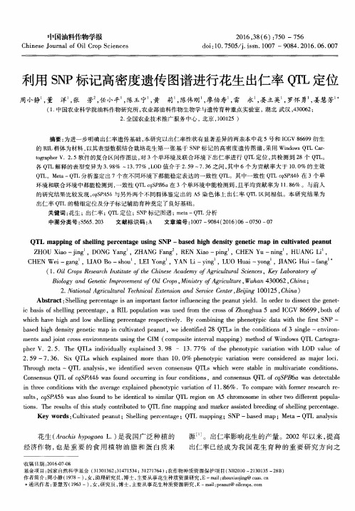利用SNP标记高密度遗传图谱进行花生出仁率QTL定位