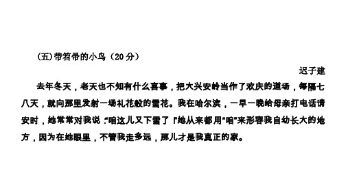 阅读理解-散文-带笤帚的小鸟(讲解校对答案版