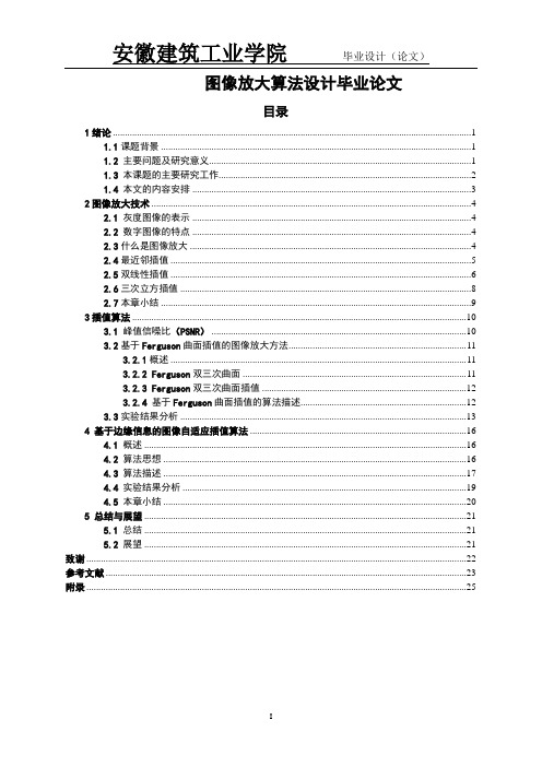 图像放大算法设计毕业论文