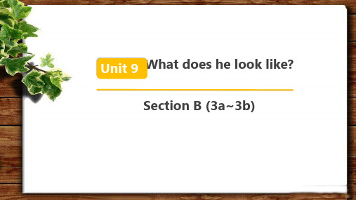 Unit 9 Section B 第3课时公开课教学PPT课件【人教版七年级英语下册】