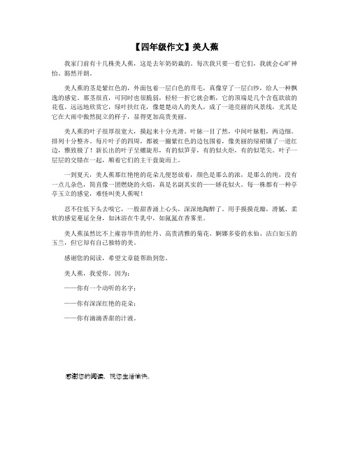 【四年级作文】美人蕉