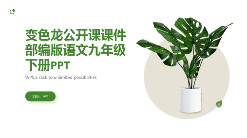 《变色龙》公开课课件部编版语文九年级下册ppt