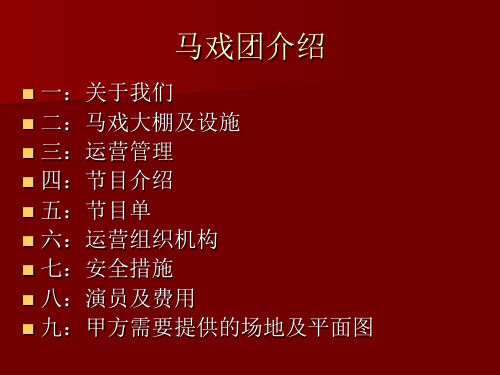 马戏表演节目单+方案