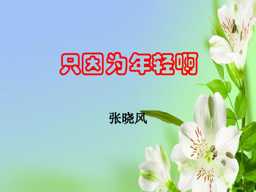 粤教版高中语文选修现代散文选读只因为年轻啊ppt1课件