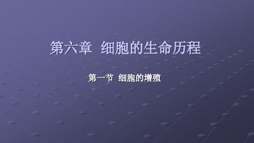人教版高中生物必修一第六章  细胞的生命历程第一节细胞的增殖教学课件共24页 (共24页)