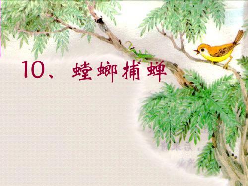 《螳螂捕蝉》课件