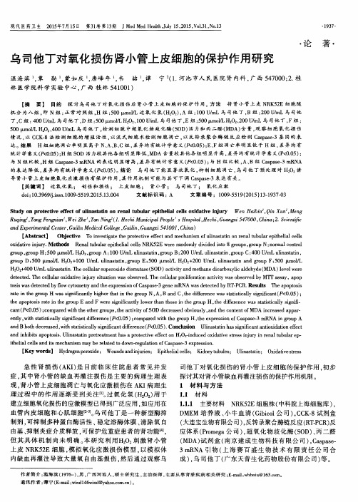 乌司他丁对氧化损伤肾小管上皮细胞的保护作用研究