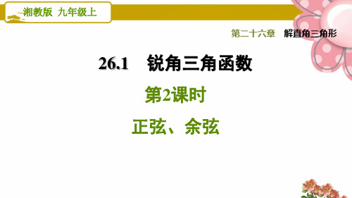 《正弦、余弦》PPT课件