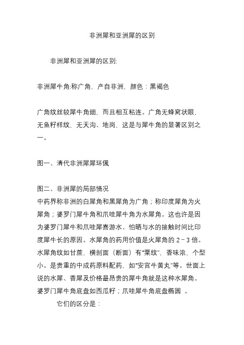 非洲犀和亚洲犀的区别