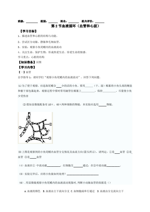 北师大版生物七年级下册第九章人体内的物质运输第2节血液循环(血管和心脏)导学案设计