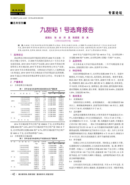 九甜粘1号选育报告