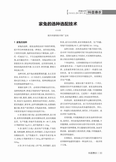 家兔的选种选配技术