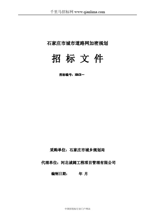 城市道路网加密规划招投标书范本