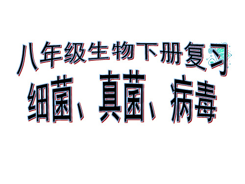 【中考复习】总复习  细菌真菌病毒复习课