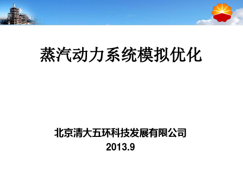 蒸汽动力系统模拟优化201309