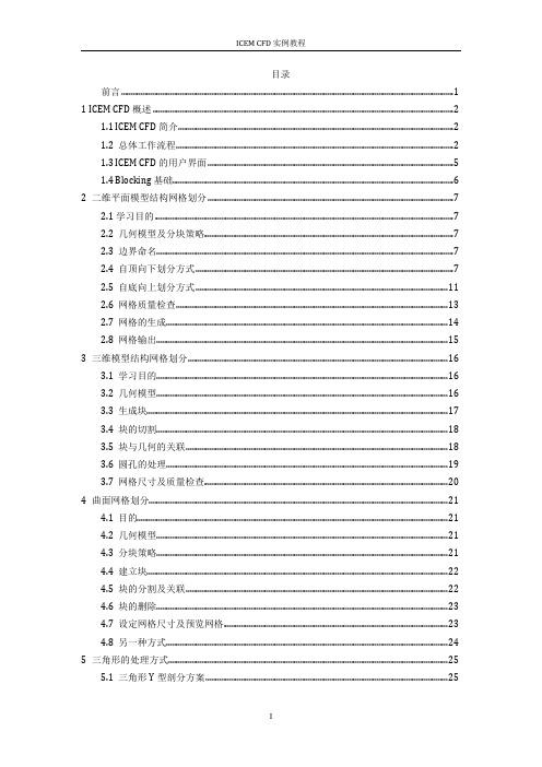 ICEM CFD实例教程